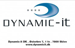 Dynamic it dk
